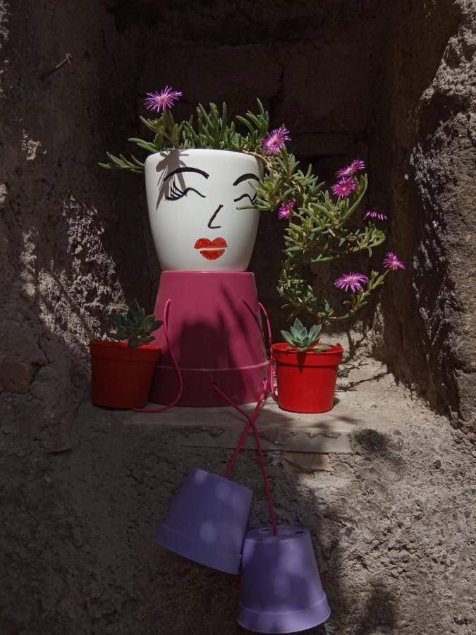 Il Giardino Di Ambra Indipendente Holiday home Viterbo